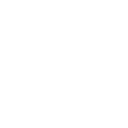 lightning icon